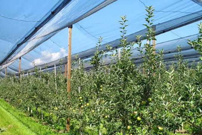 Fruticultores respaldan ley para proteger tierras&nbsp;productivas