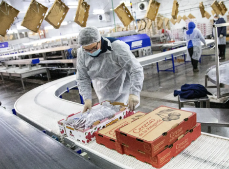 Río Negro pone $500 millones sobre la mesa para que los productores transformen lo que generan